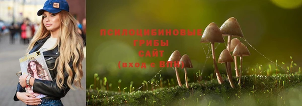прущая мука Елизово
