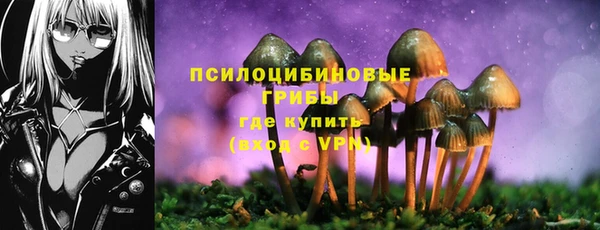 герыч Елабуга