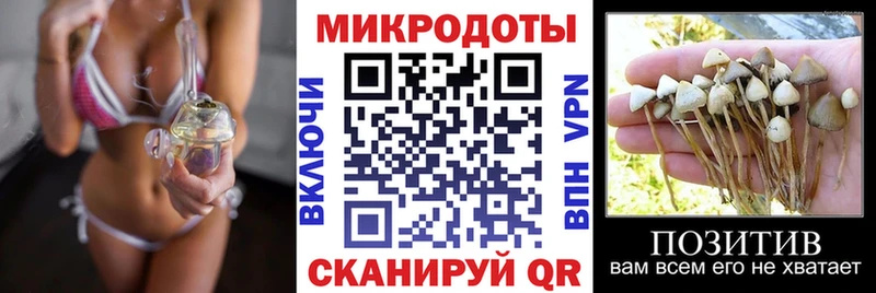 Галлюциногенные грибы ЛСД  Купить  Кодинск 