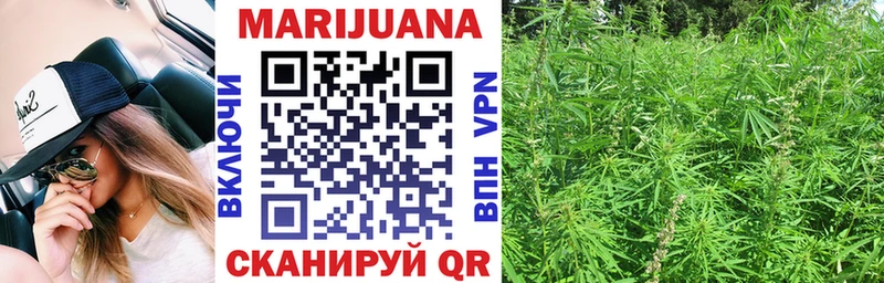 Купить где  Кодинск  Бошки Шишки THC 21% 